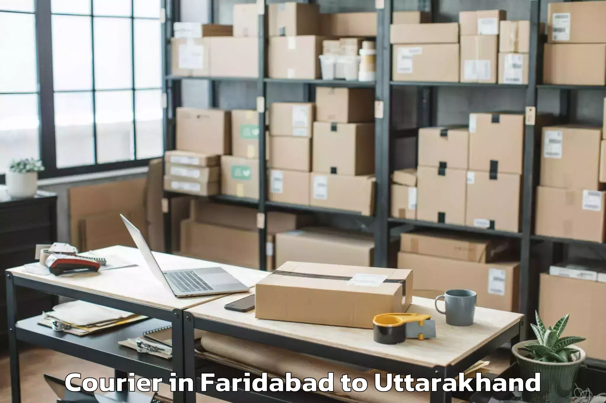 Professional Faridabad to Pokhari Courier